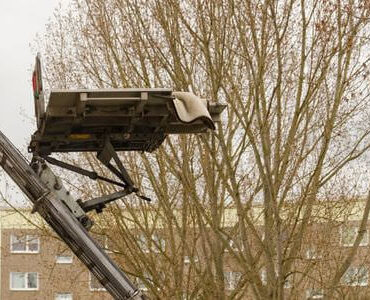 Möbellift in Worms Möbellift in Worms: Möbellift zwischen kahlen Bäumen vor einem Gebäude
