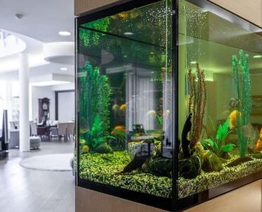 Aquarium-Umzug Worms Aquarium-Umzug Worms: Großes Aquarium in einem modernen Wohnzimmer