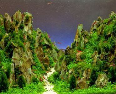 Aquarium-Umzug Worms Aquarium-Umzug Worms: Aquarium mit Felslandschaft und Pflanzen